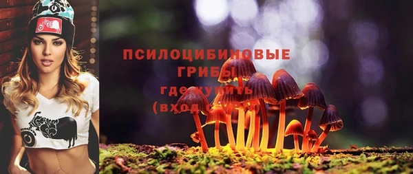 эйфоретик Балахна