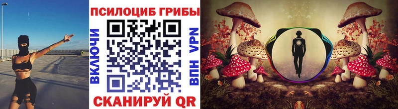 Псилоцибиновые грибы GOLDEN TEACHER  Славгород 