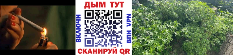 МАРИХУАНА Amnesia Славгород